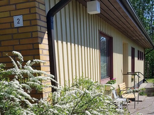 Talo kuusiaidan suojassa