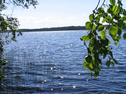 Antintuvan Lomamökit